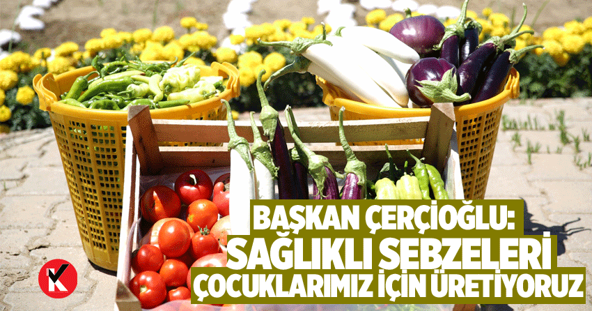 Başkan Çerçioğlu: Sağlıklı sebzeleri çocuklarımız için üretiyoruz