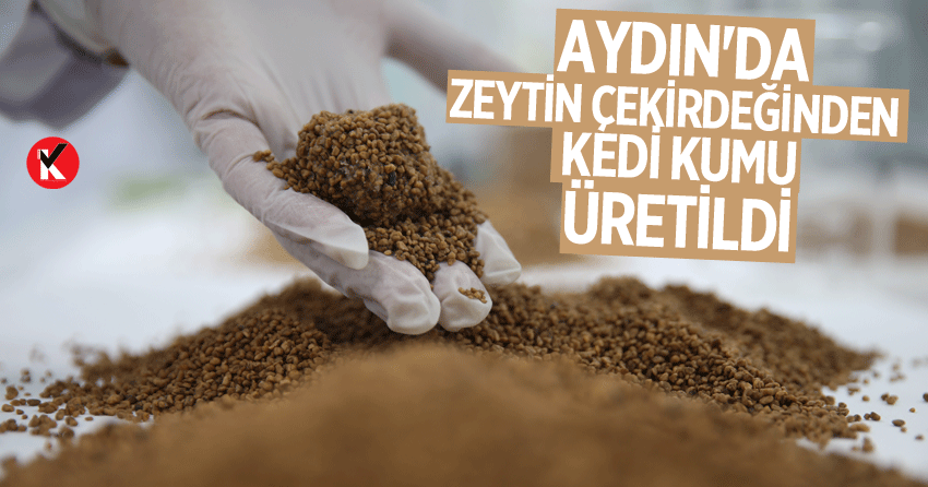 Aydın'da zeytin çekirdeğinden kedi kumu üretildi