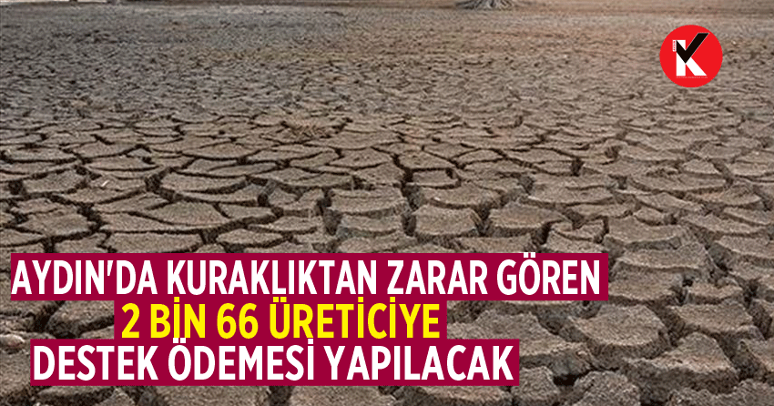 Aydın'da kuraklıktan zarar gören 2 bin 66 üreticiye destek ödemesi yapılacak