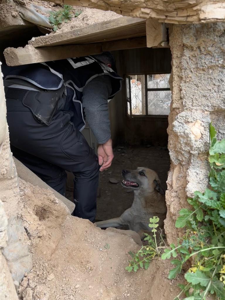 Yıkılan binanın altında kalan köpeği Aydın polisi kurtardı