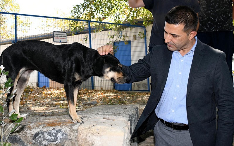 “Şartlar ne olursa olsun can dostlarımızı yaşatacağız”