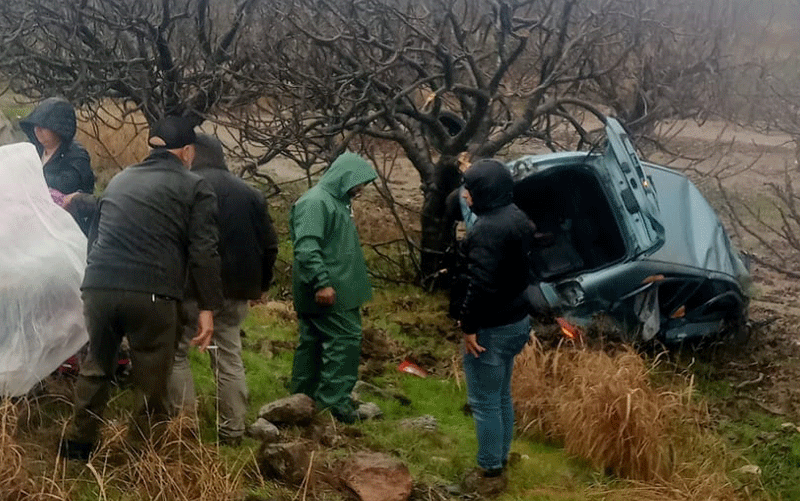 Aydın'da kontrolden çıkan araç yol kenarına uçtu