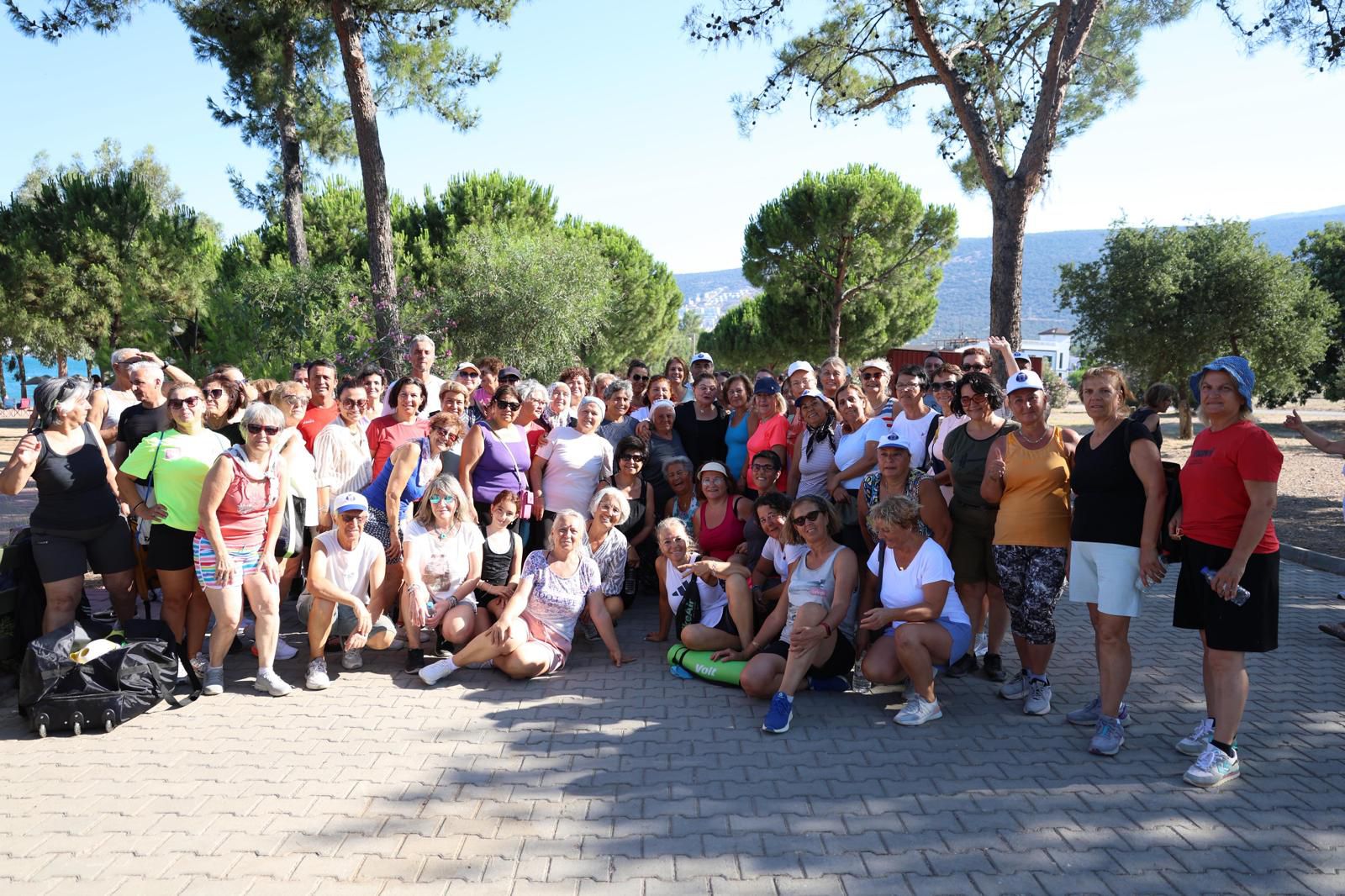 Didim 3