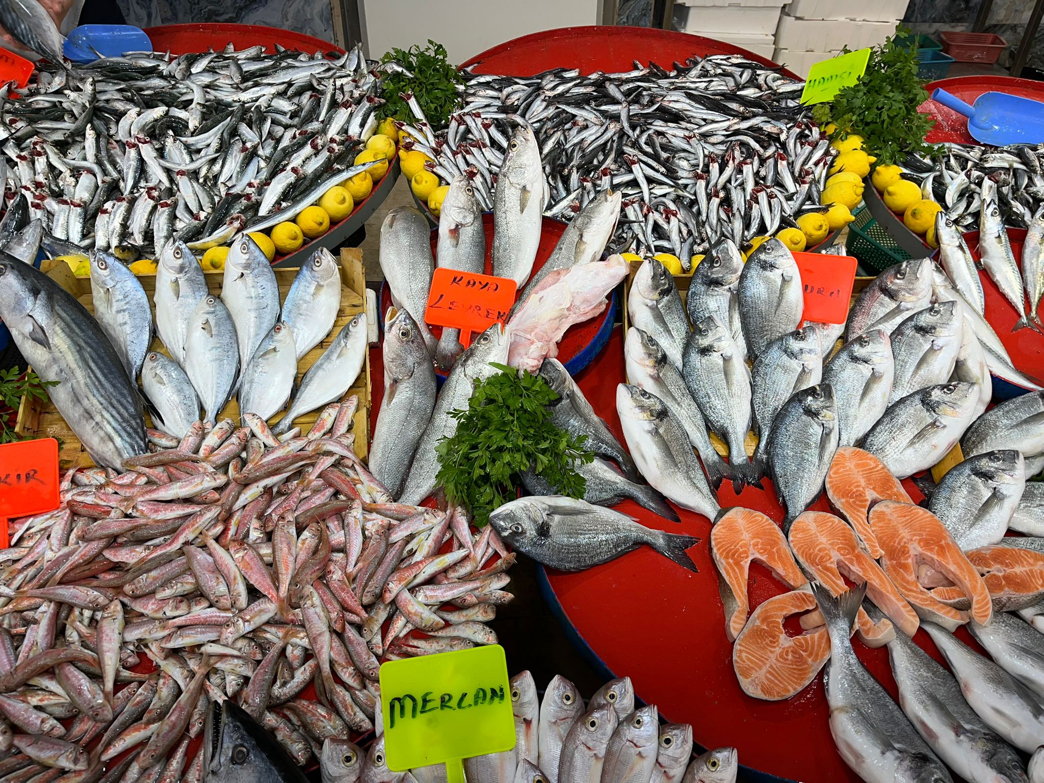 Whatsapp Image 2025 09 30 At 13.54.48 (1)