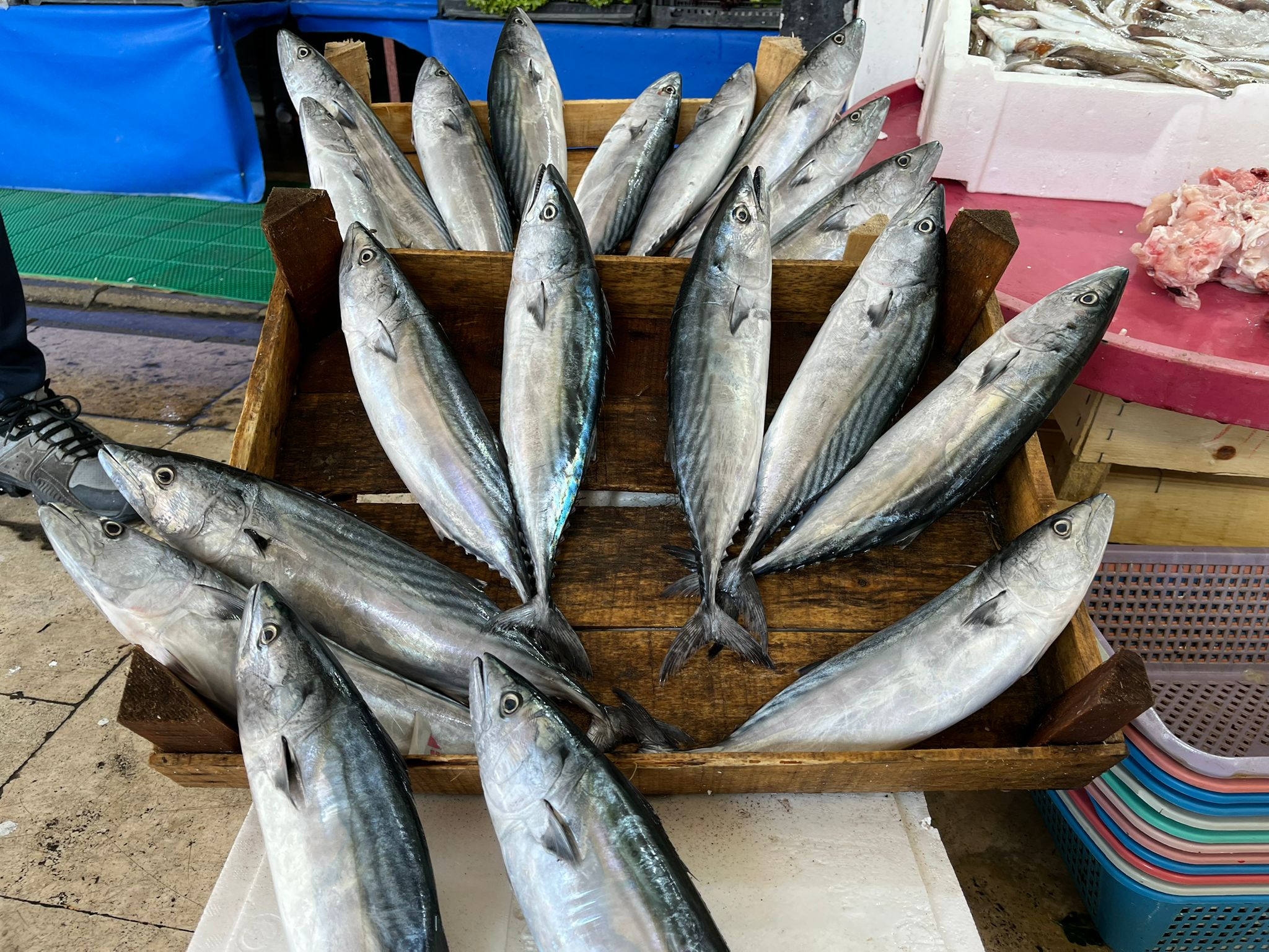 Whatsapp Image 2025 09 30 At 13.54.49 (1)