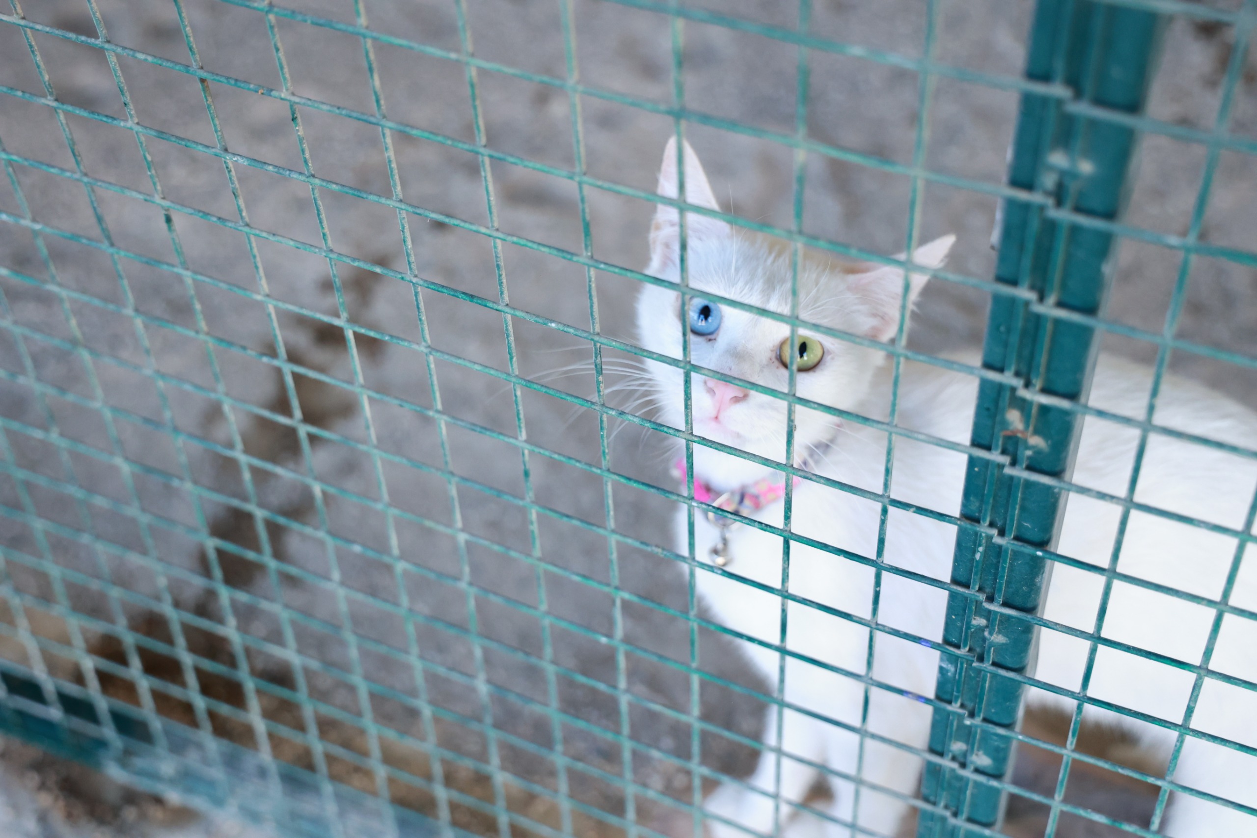 Whatsapp Image 2025 10 10 At 18.49.53 (2)