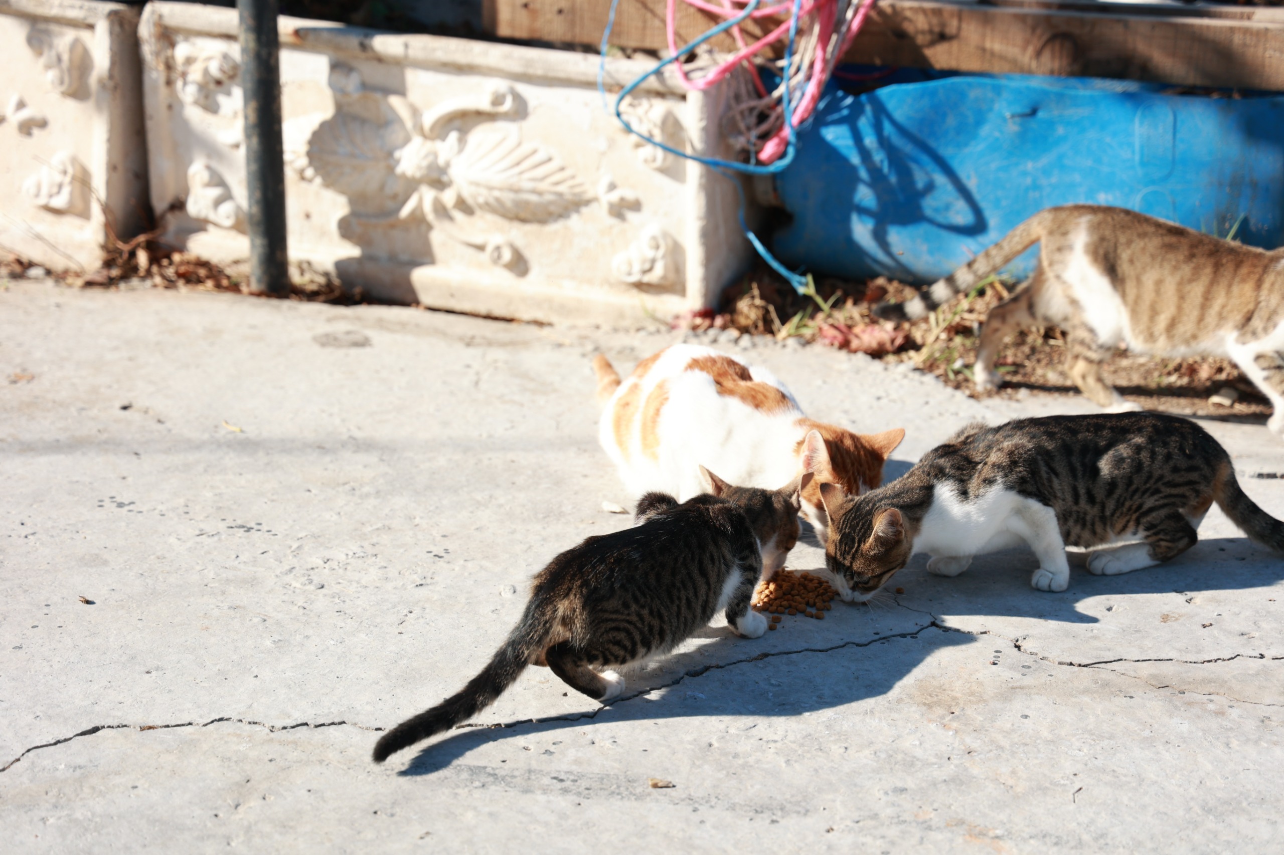 Whatsapp Image 2025 10 10 At 18.49.54