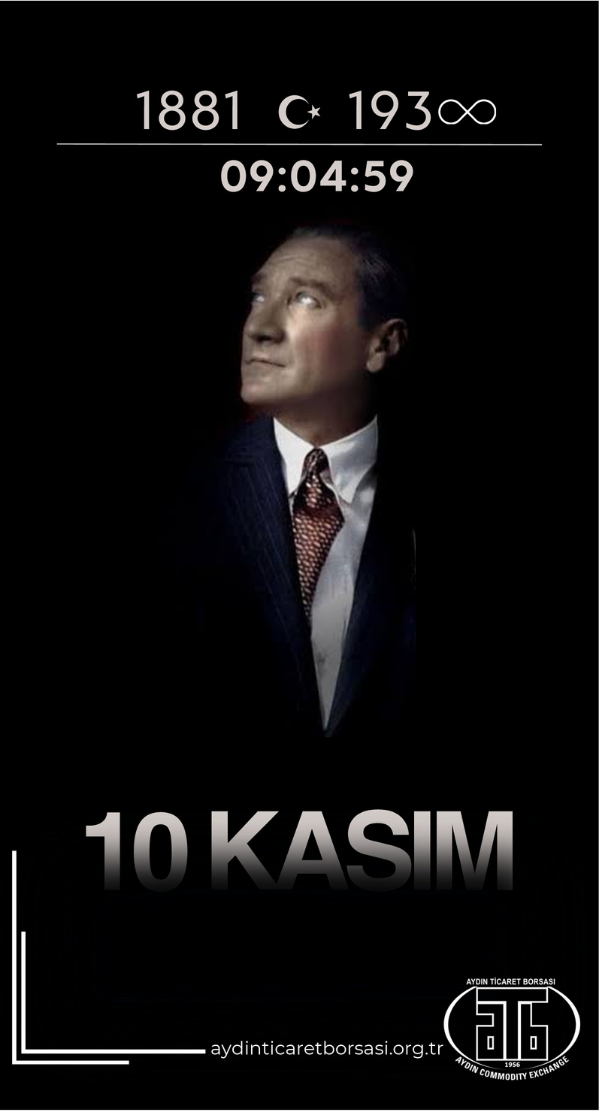 25993308667Bbf530B40233Fc57Fea5A