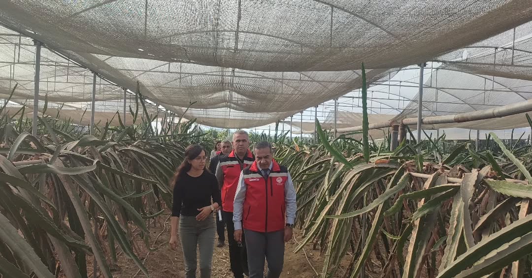 Whatsapp Image 2025 11 19 At 09.47.43 (1)