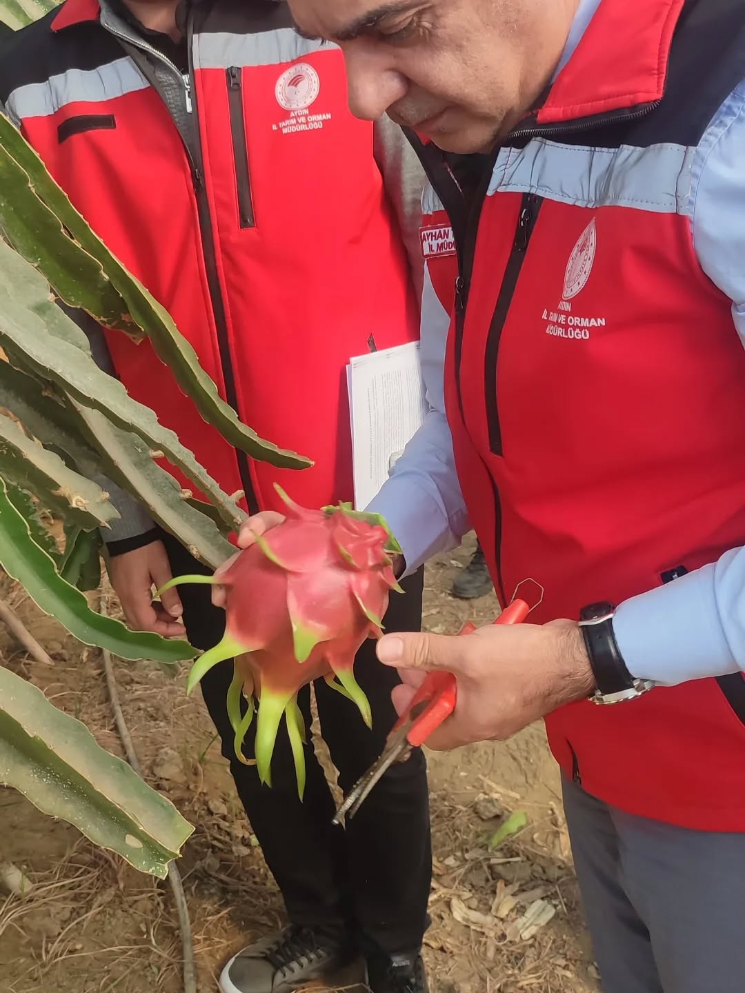 Whatsapp Image 2025 11 19 At 09.47.43