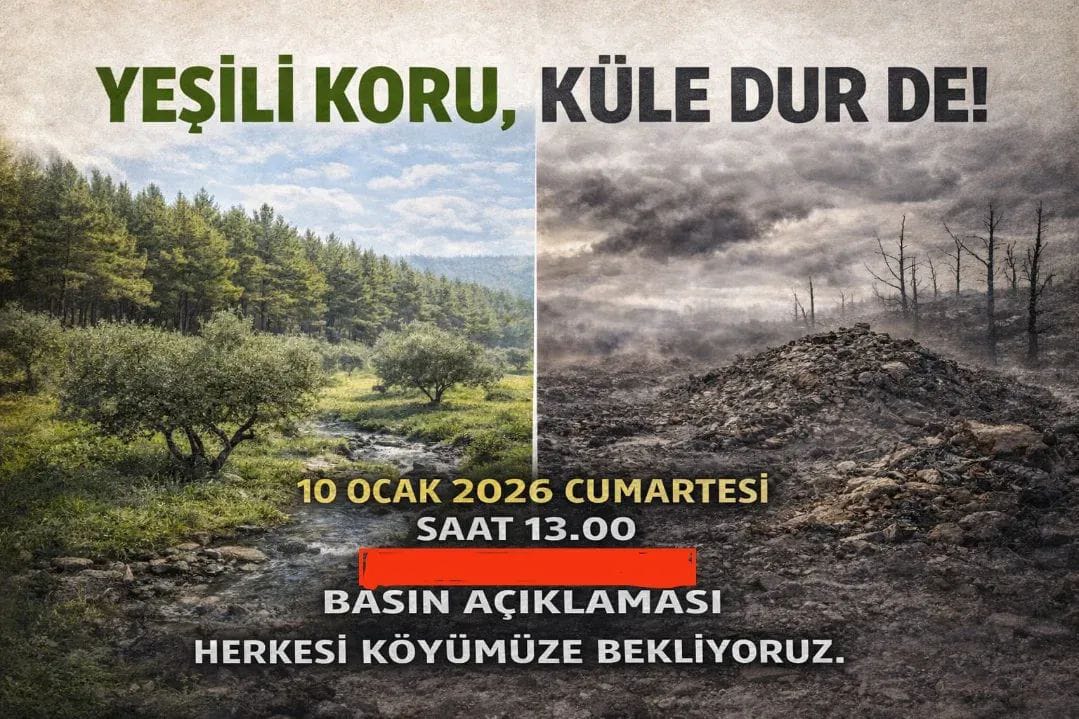 Whatsapp Image 2026 01 03 At 14.00.37