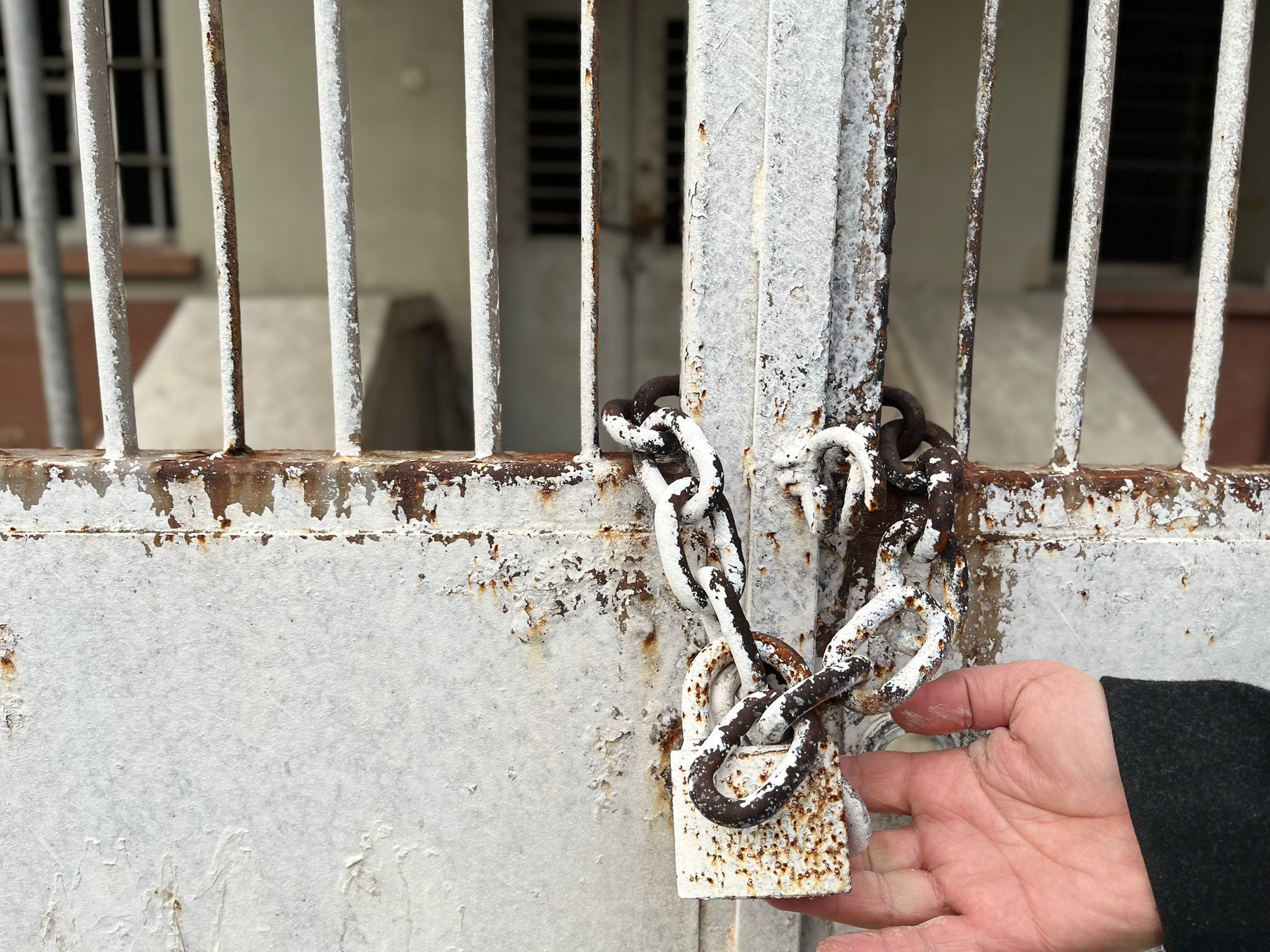 Whatsapp Image 2026 01 12 At 10.19.25