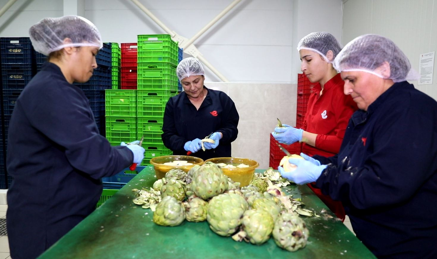 Whatsapp Image 2026 01 22 At 11.39.03 (3)