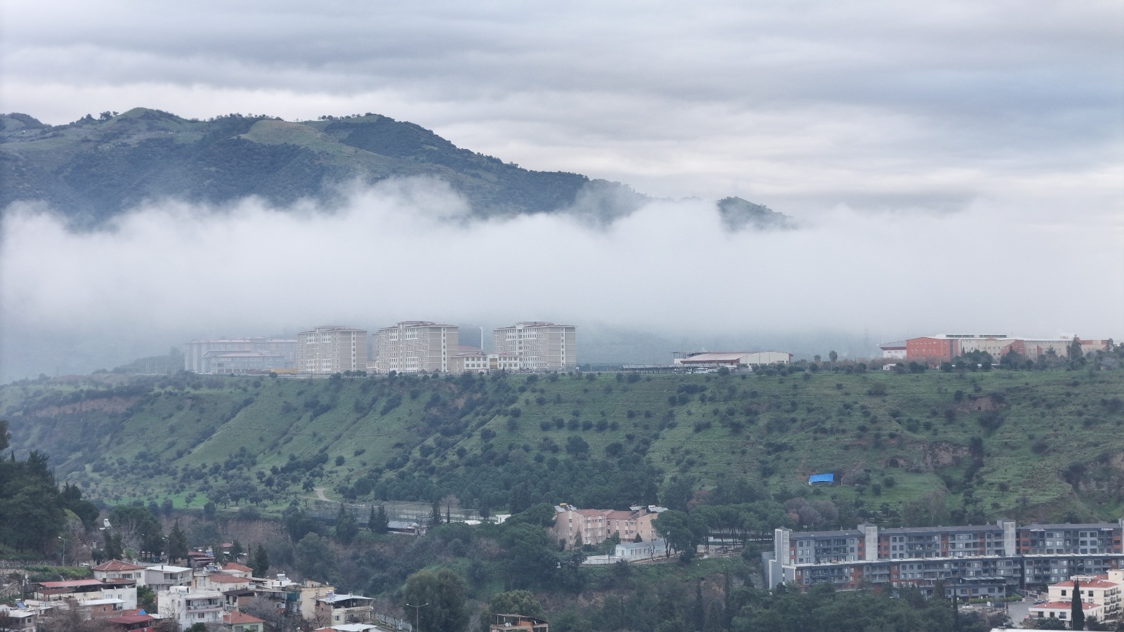 Whatsapp Image 2026 02 06 At 11.18.10