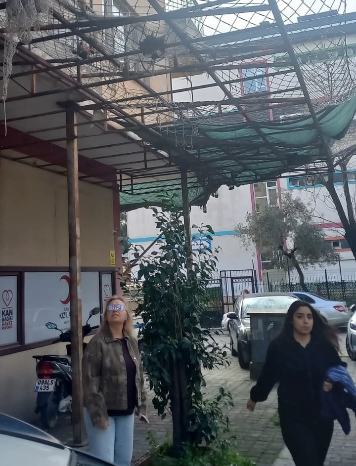 Whatsapp Image 2026 02 06 At 15.12.02