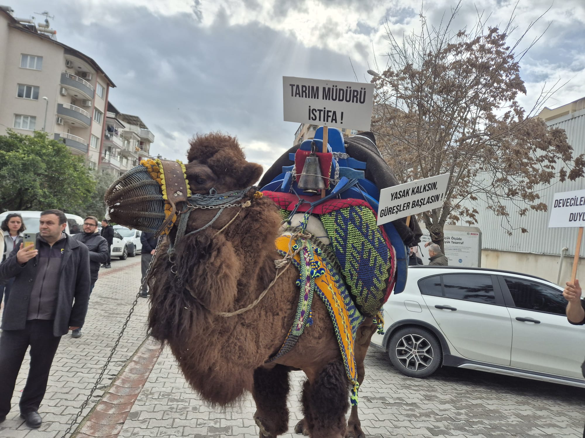 Whatsapp Image 2026 02 06 At 15.41.05 (1)