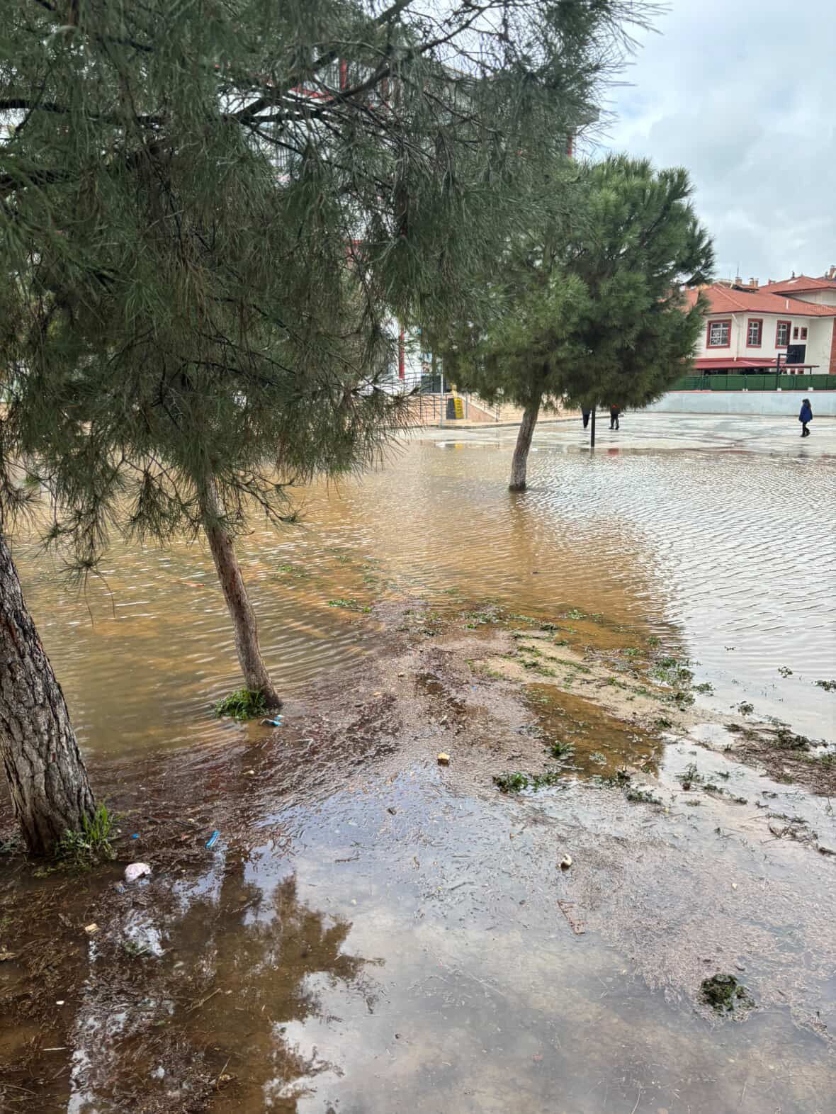 Whatsapp Image 2026 02 06 At 16.48.28 (1)