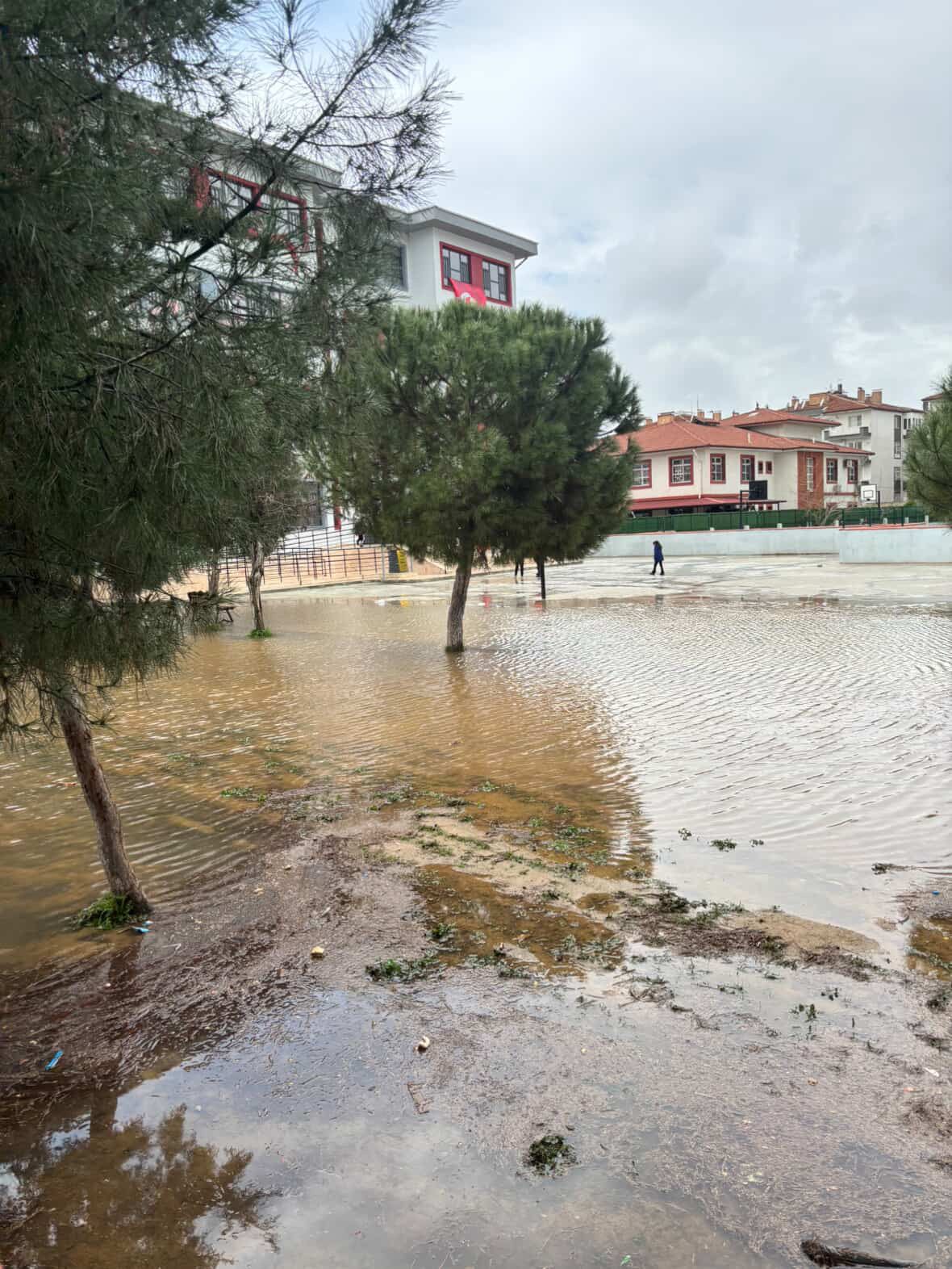 Whatsapp Image 2026 02 06 At 16.48.28 (2)