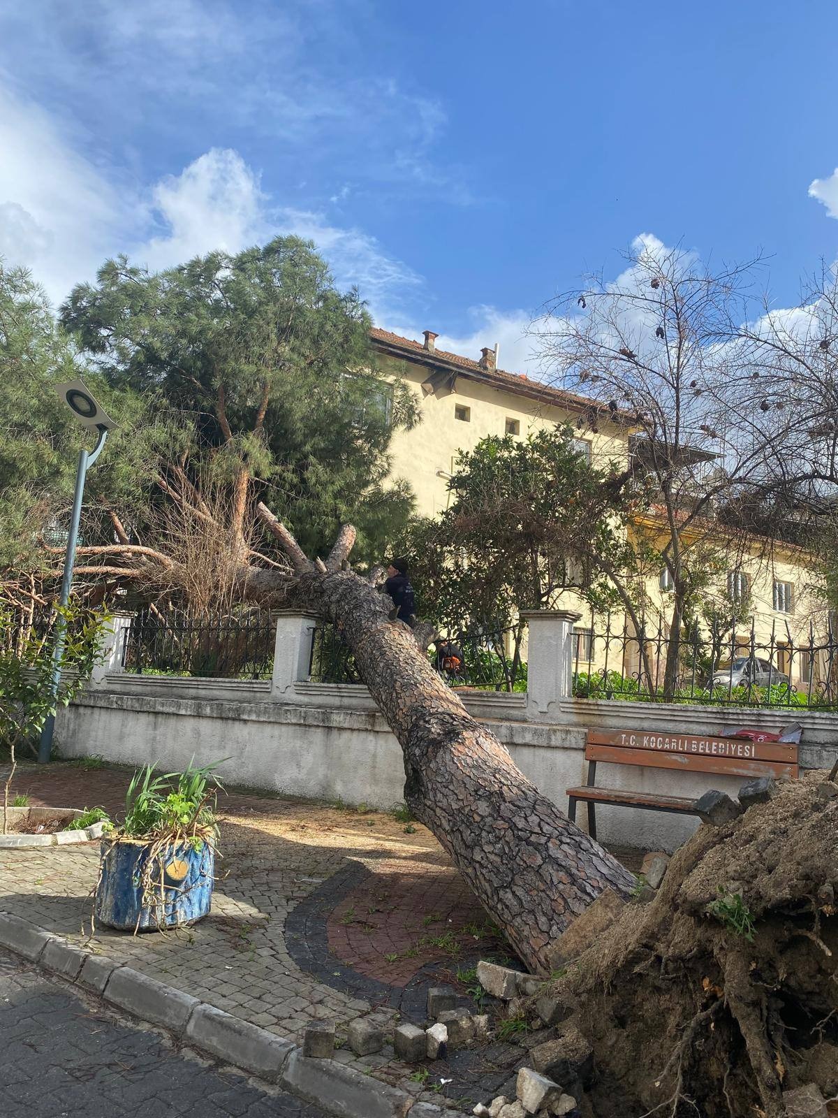 Whatsapp Image 2026 02 13 At 09.49.17 (1)