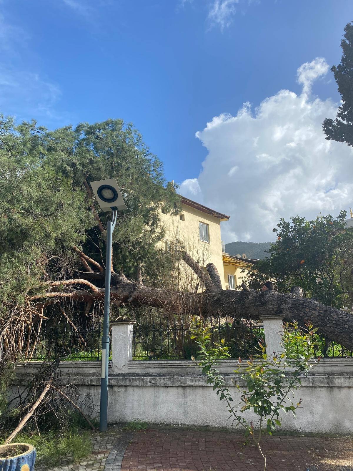 Whatsapp Image 2026 02 13 At 09.49.17