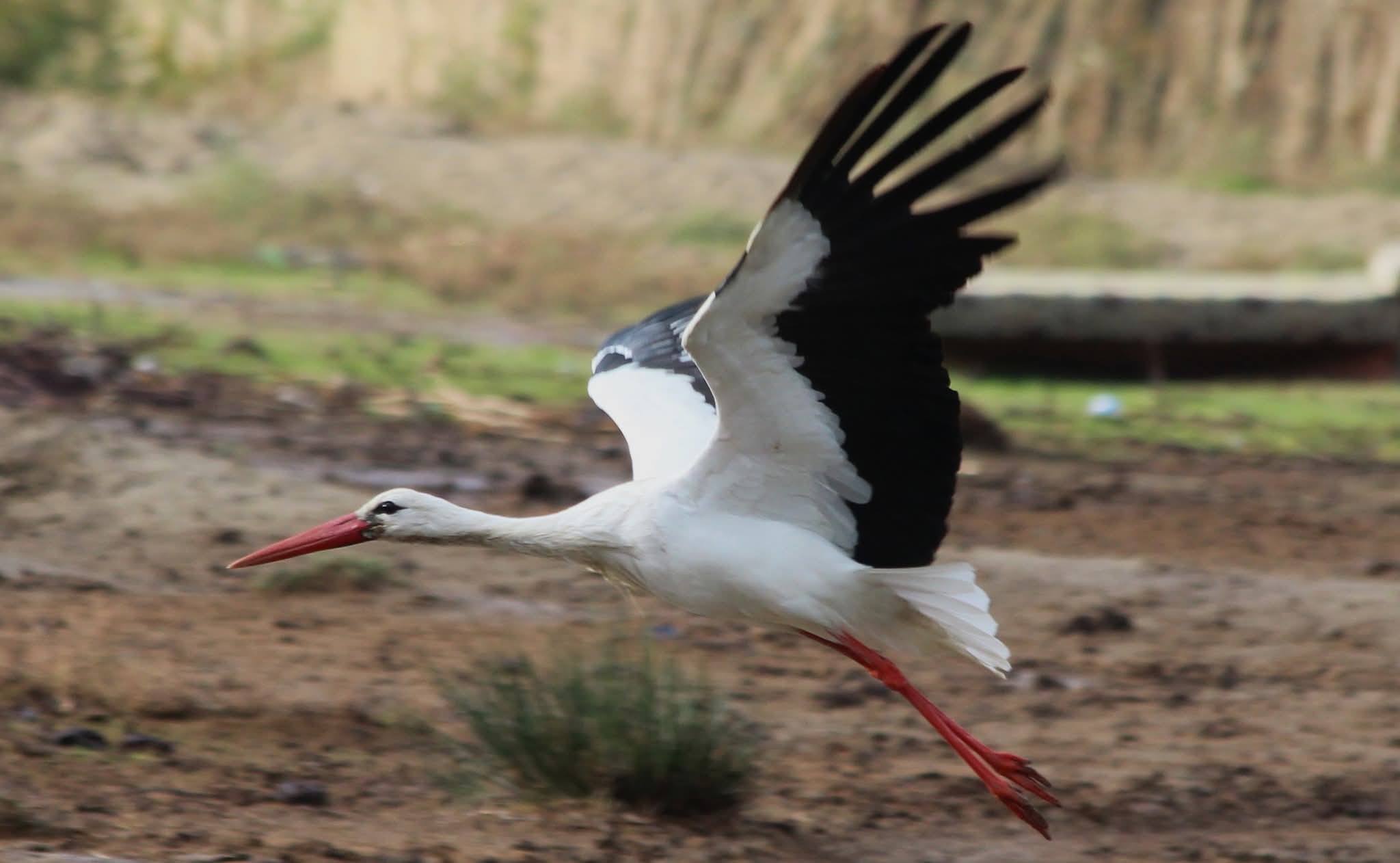 Whatsapp Image 2026 02 16 At 09.11.33