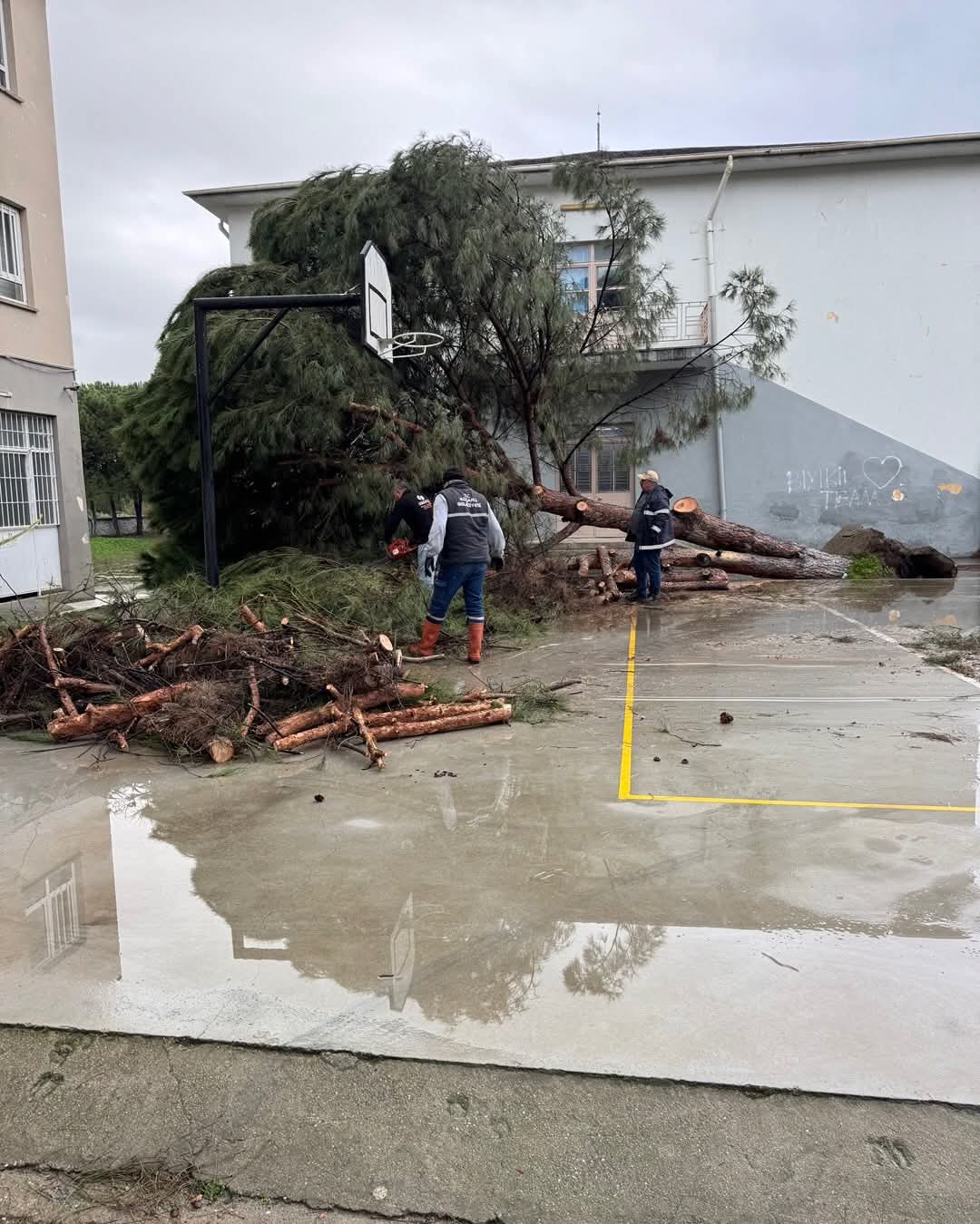 Whatsapp Image 2026 02 16 At 11.37.28 (1)