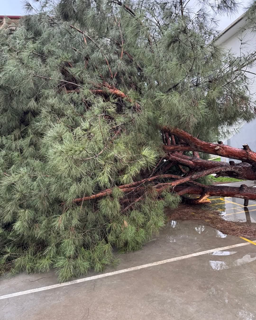 Whatsapp Image 2026 02 16 At 11.37.28 (3)