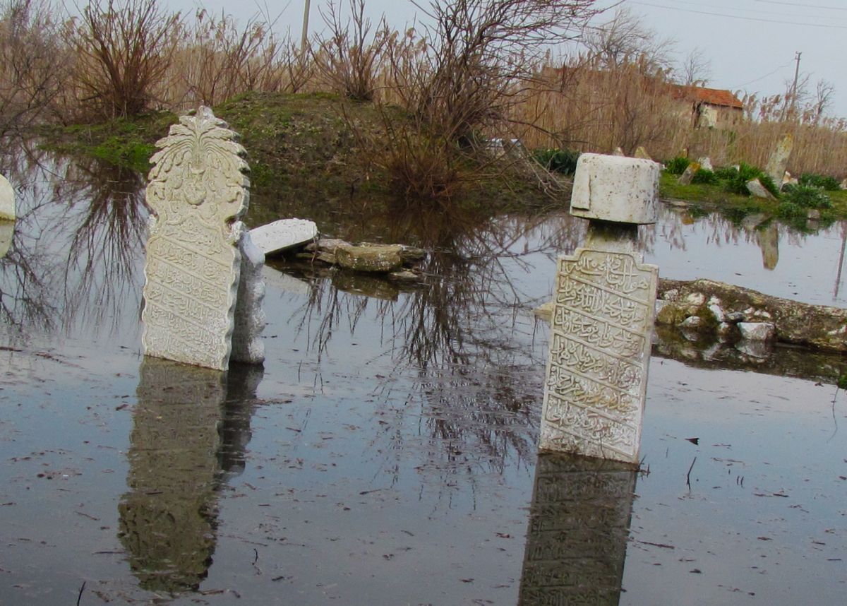 645716512 1366364702197300 3607416461422035946 N