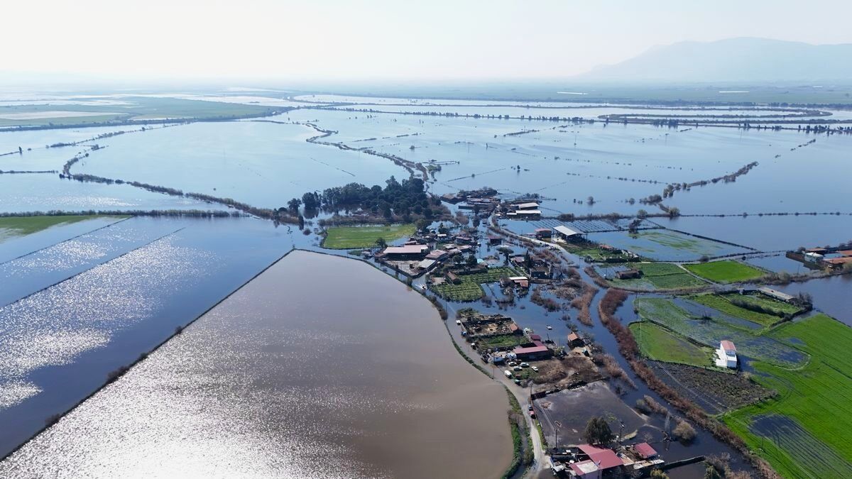 Whatsapp Image 2026 03 02 At 13.30.43 (4)