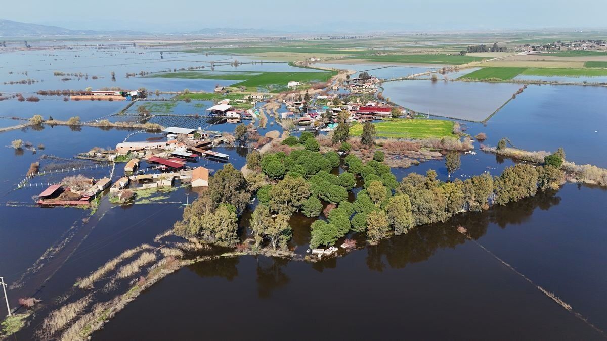 Whatsapp Image 2026 03 02 At 13.30.43 (5)