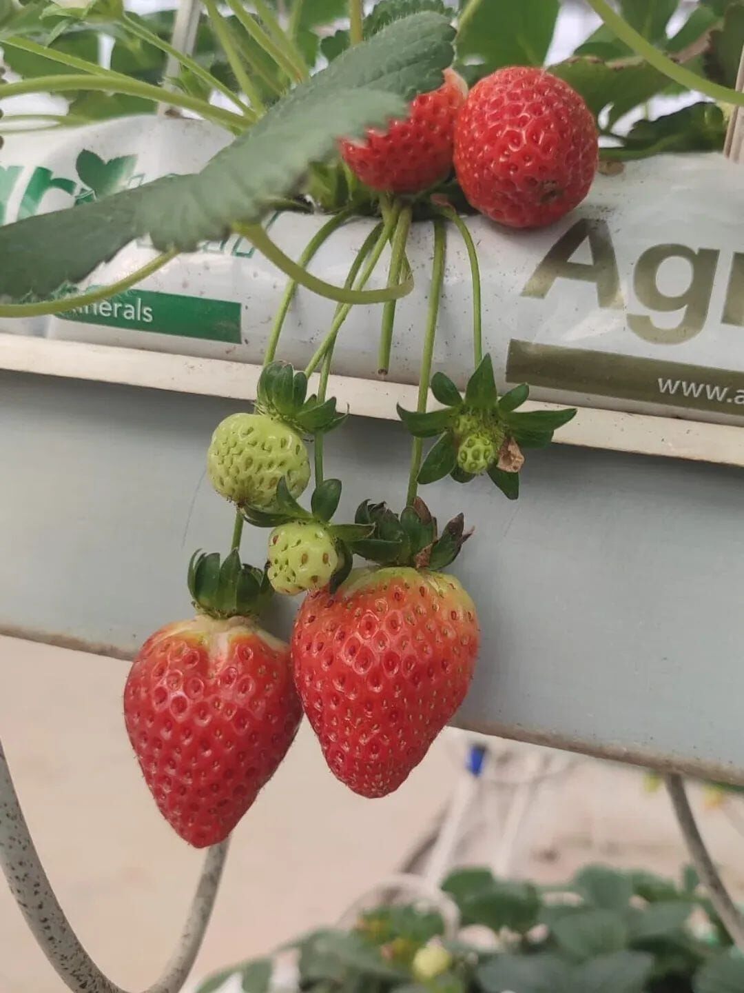 Whatsapp Image 2026 03 06 At 13.57.16 (1)