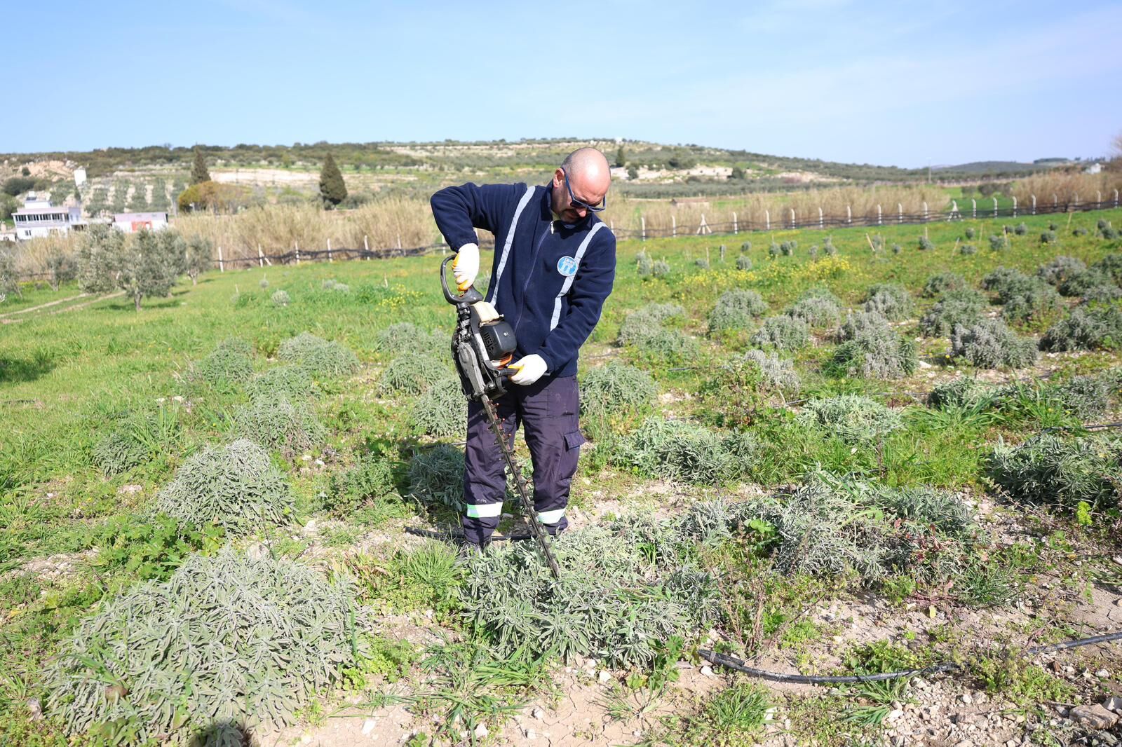 Whatsapp Image 2026 03 09 At 16.04.19