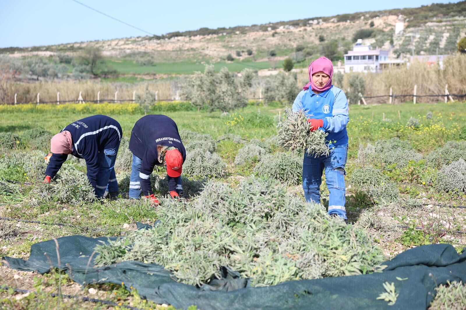 Whatsapp Image 2026 03 09 At 16.04.20