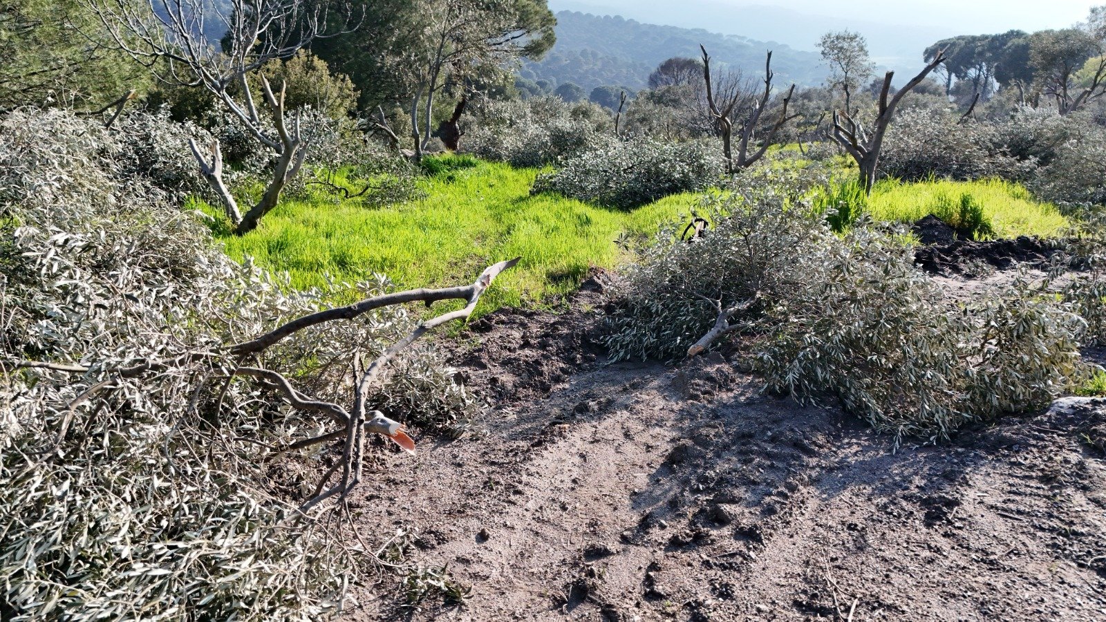 Whatsapp Image 2026 03 27 At 13.10.48 (2)