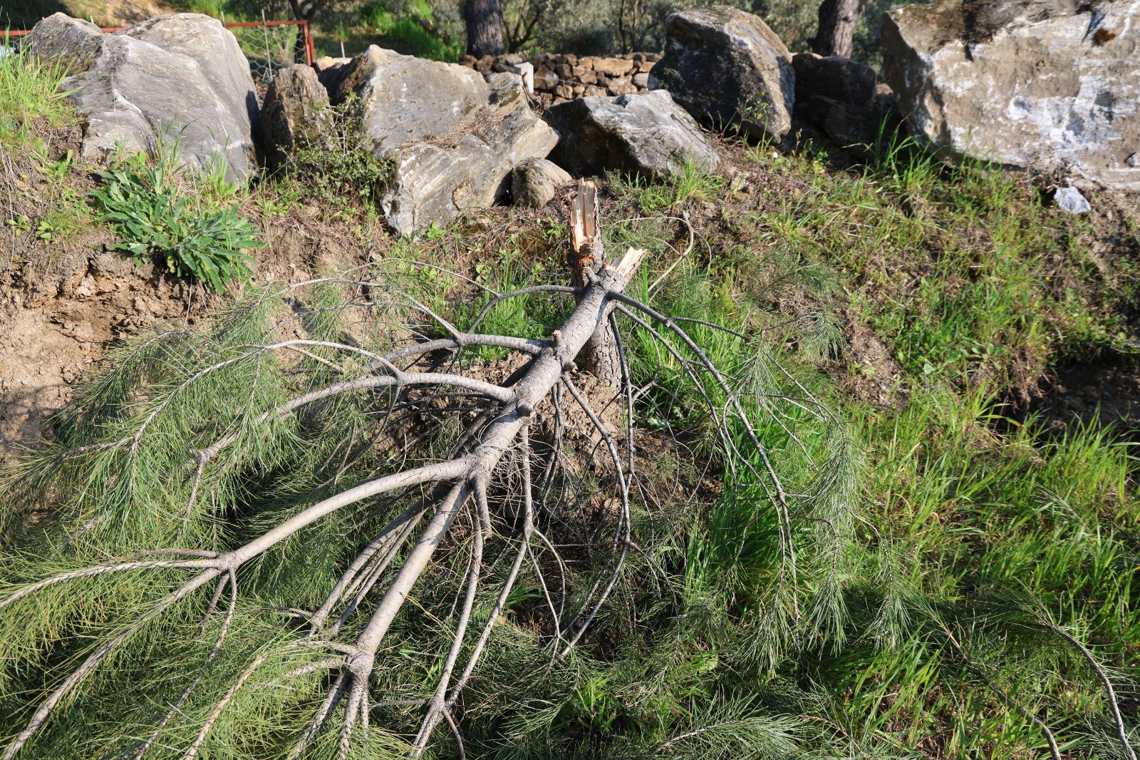 Whatsapp Image 2026 03 27 At 13.10.48 (3)