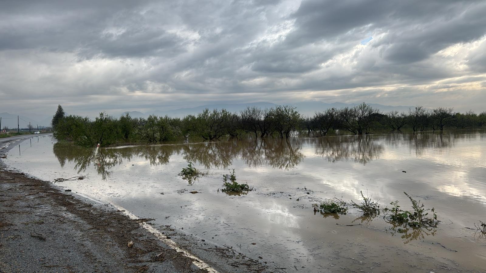 Whatsapp Image 2026 03 30 At 09.26.22