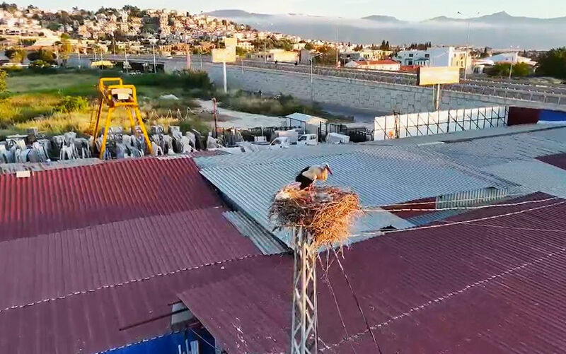 Kuşadası