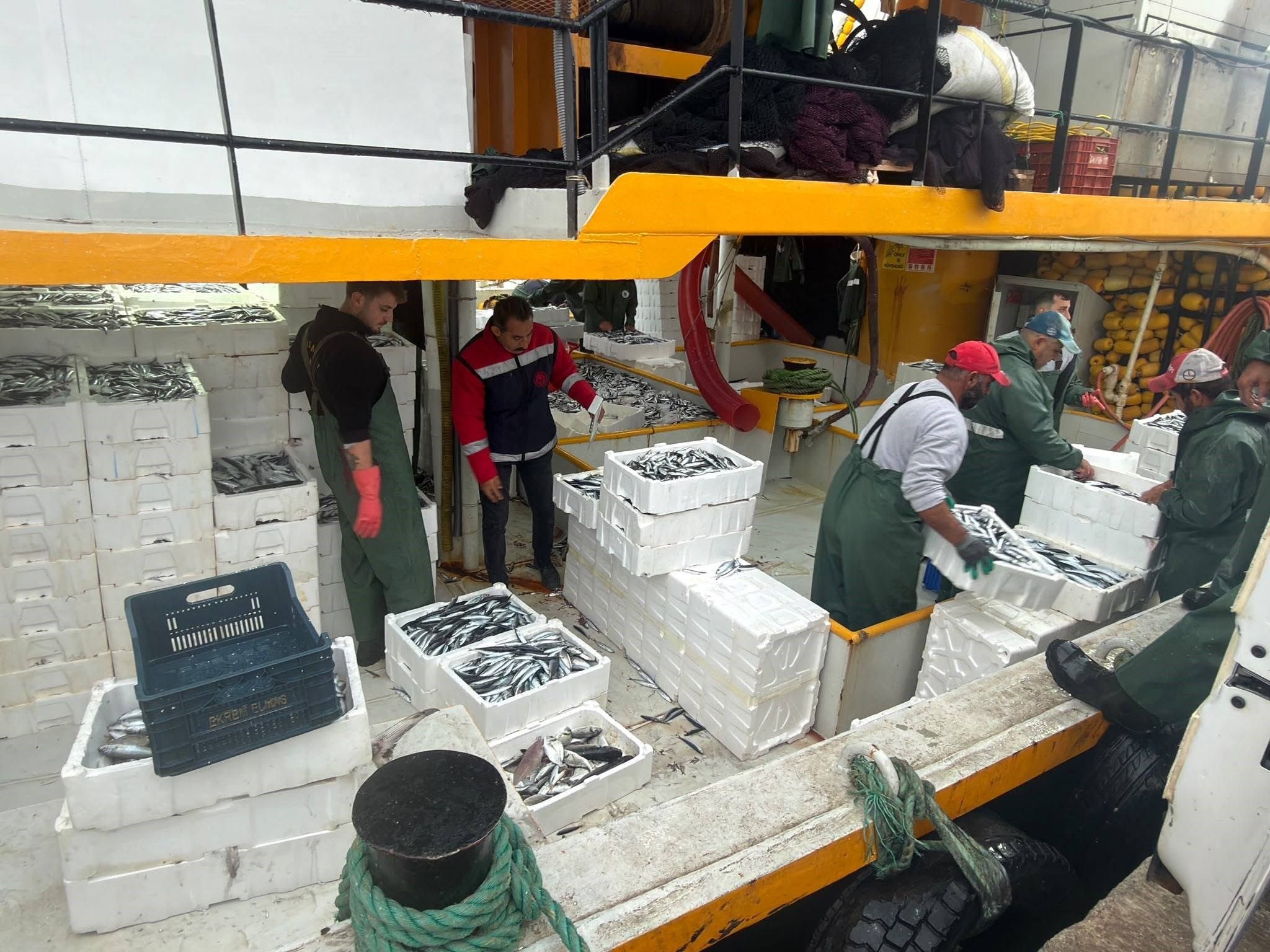 Didim'de Hamsi Kotası Denetimleri Sürüyor