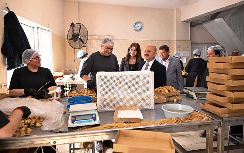 Vali Varol, kuru incir çalışmalarını yerinde inceledi