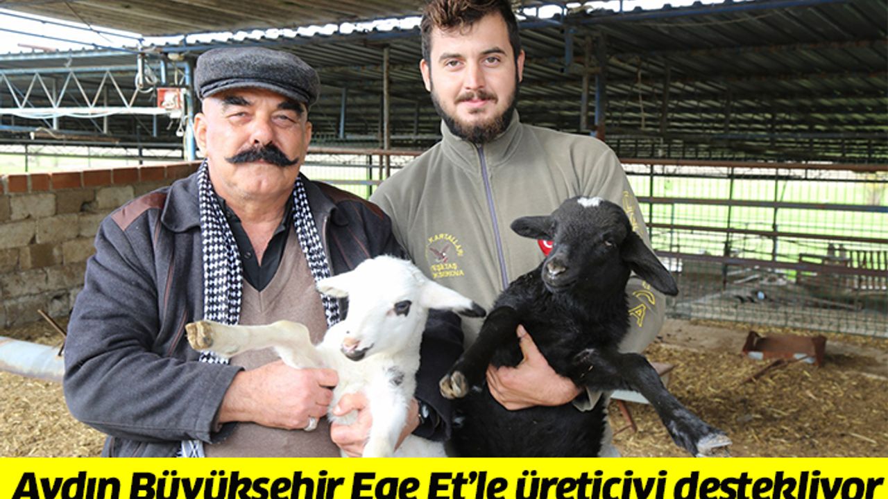 Aydın Büyükşehir Ege Et'le üreticiyi destekliyor