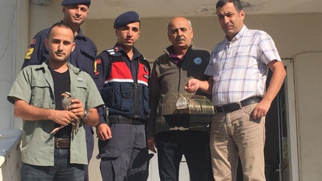Kanadı kesik kekliklerle kuşları kandıran 2 avcıya 4 bin lira ceza