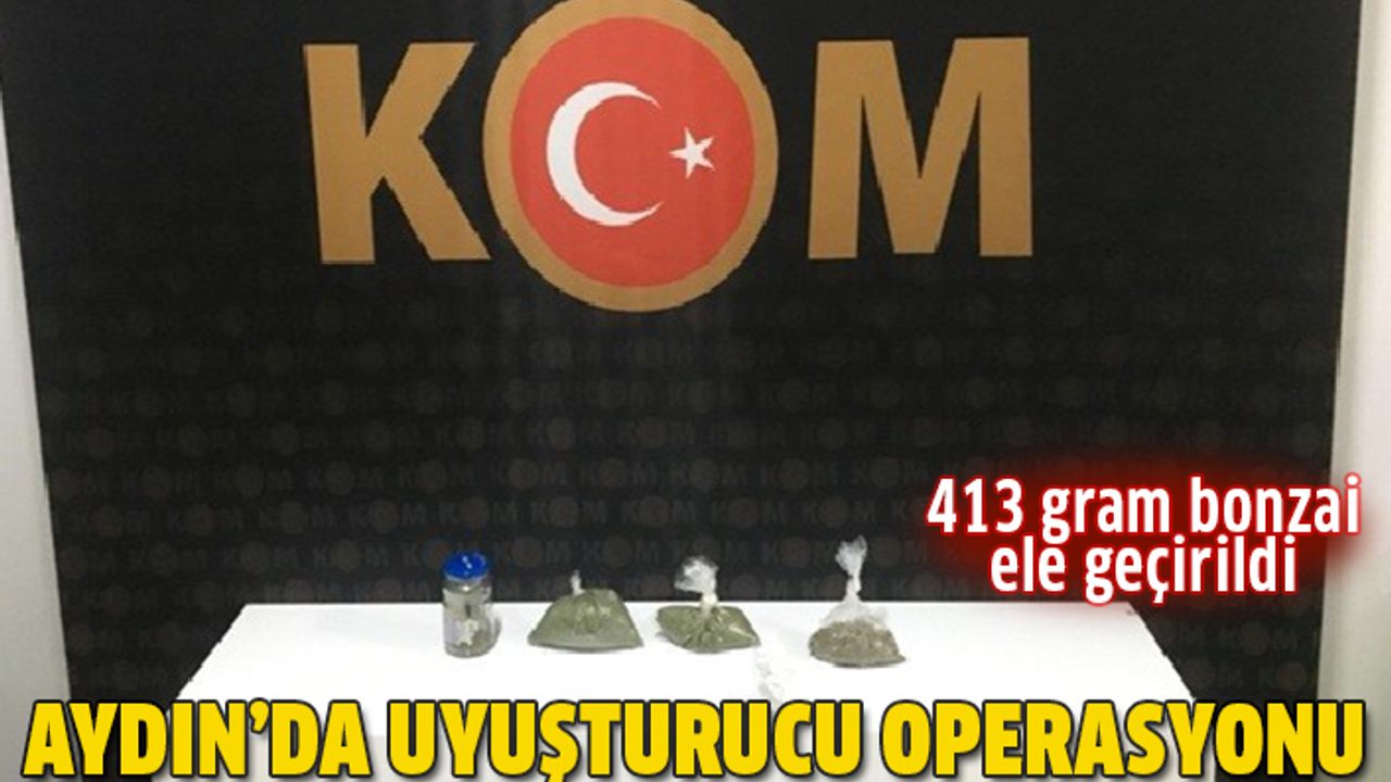 Aydın'da uyuşturucu operasyonu: 1 kişi tutuklandı