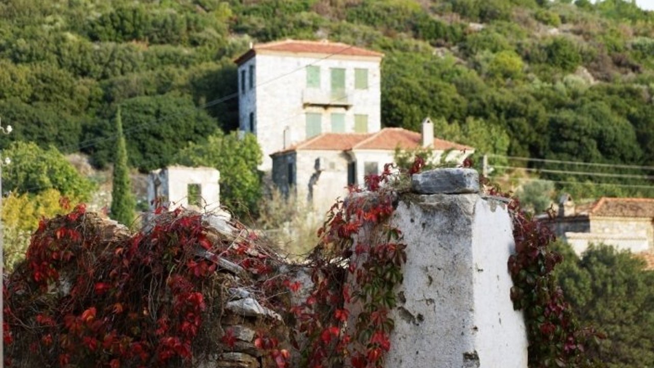 Doğanbey, taş evleri saran çiçekleri ile ayrı bir güzelliğe büründü