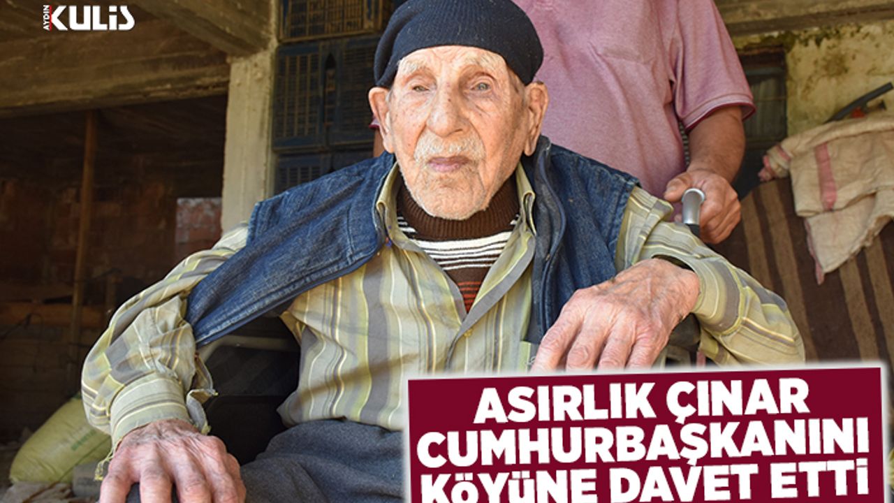 Asırlık çınar Cumhurbaşkanını köyüne davet etti