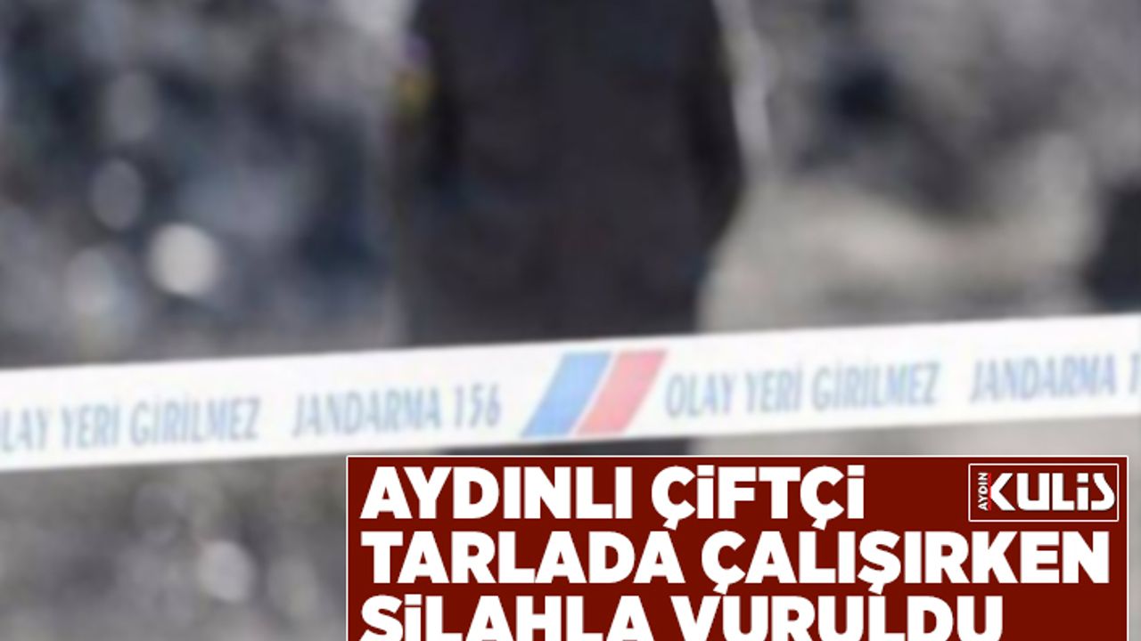Aydın'da tarlada çalışan bir kişi silahla vuruldu