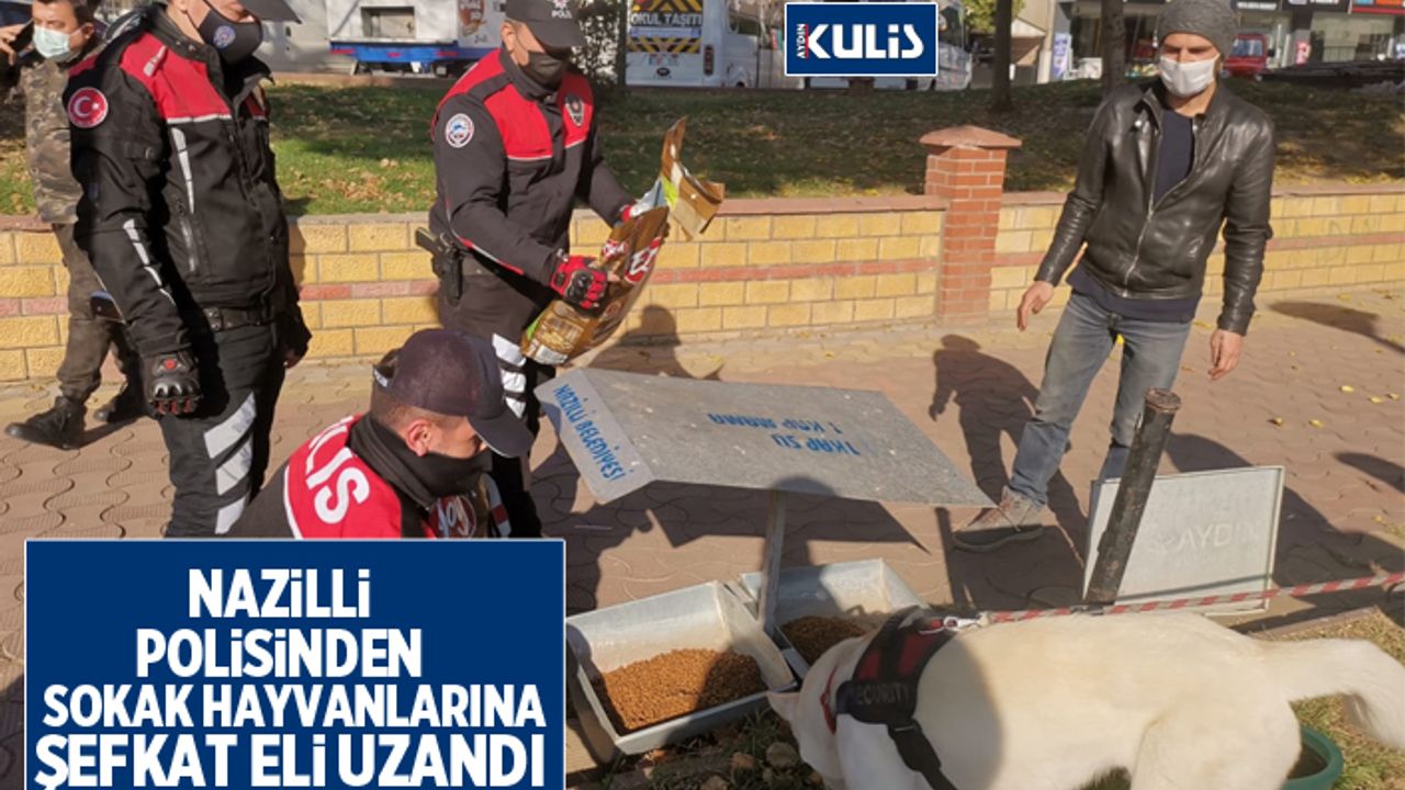 Nazilli polisinden sokak hayvanlarına şefkat eli uzandı