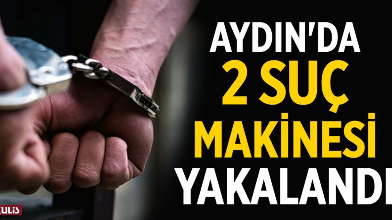 Aydın'da 2 suç makinesi yakalandı