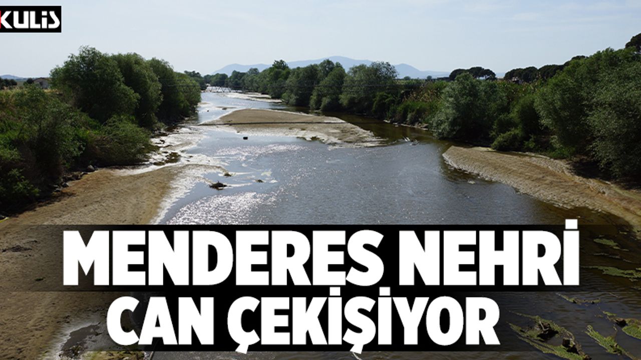 Menderes Nehri can çekişiyor