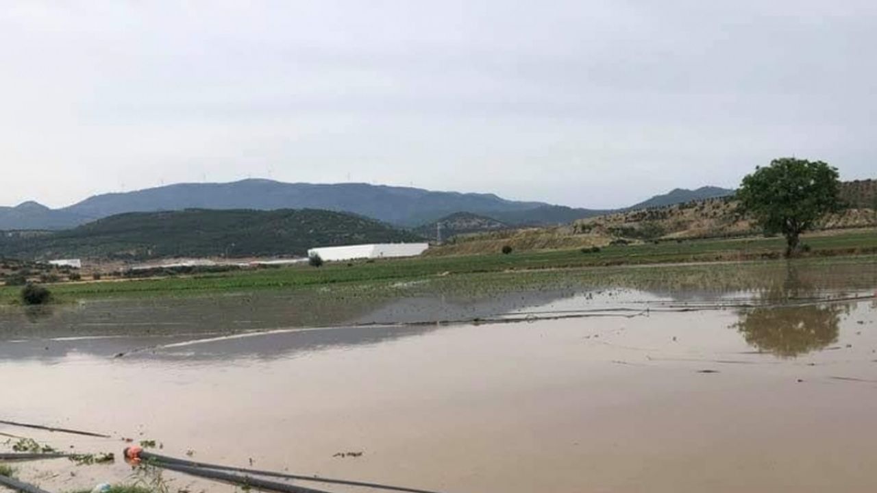 Bergama'da dolunun 3 bin dönüm tarım arazisine zarar verdiği bildirildi