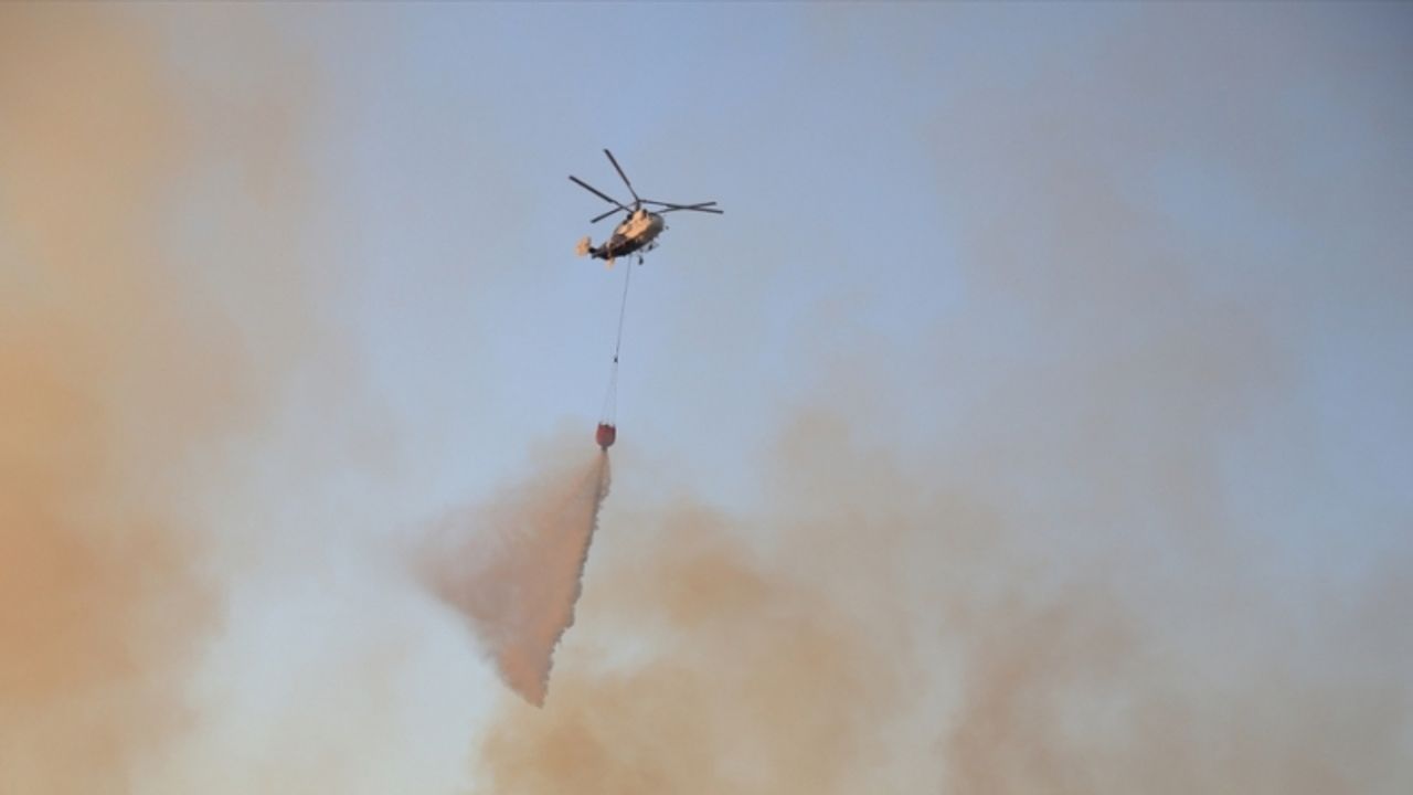 GÜNCELLEME - Muğla'daki orman yangını kontrol altına alındı